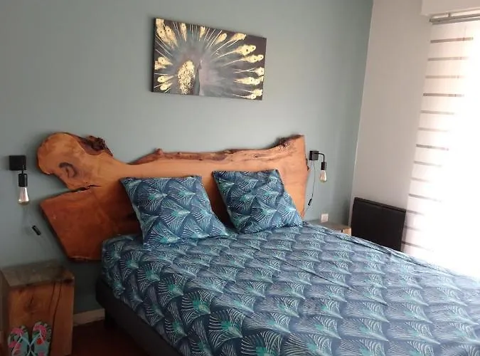 T3 150 M De La Plage, Climatisation, Piscine Et Parking Privatif - *